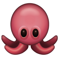 Octofi Wallet